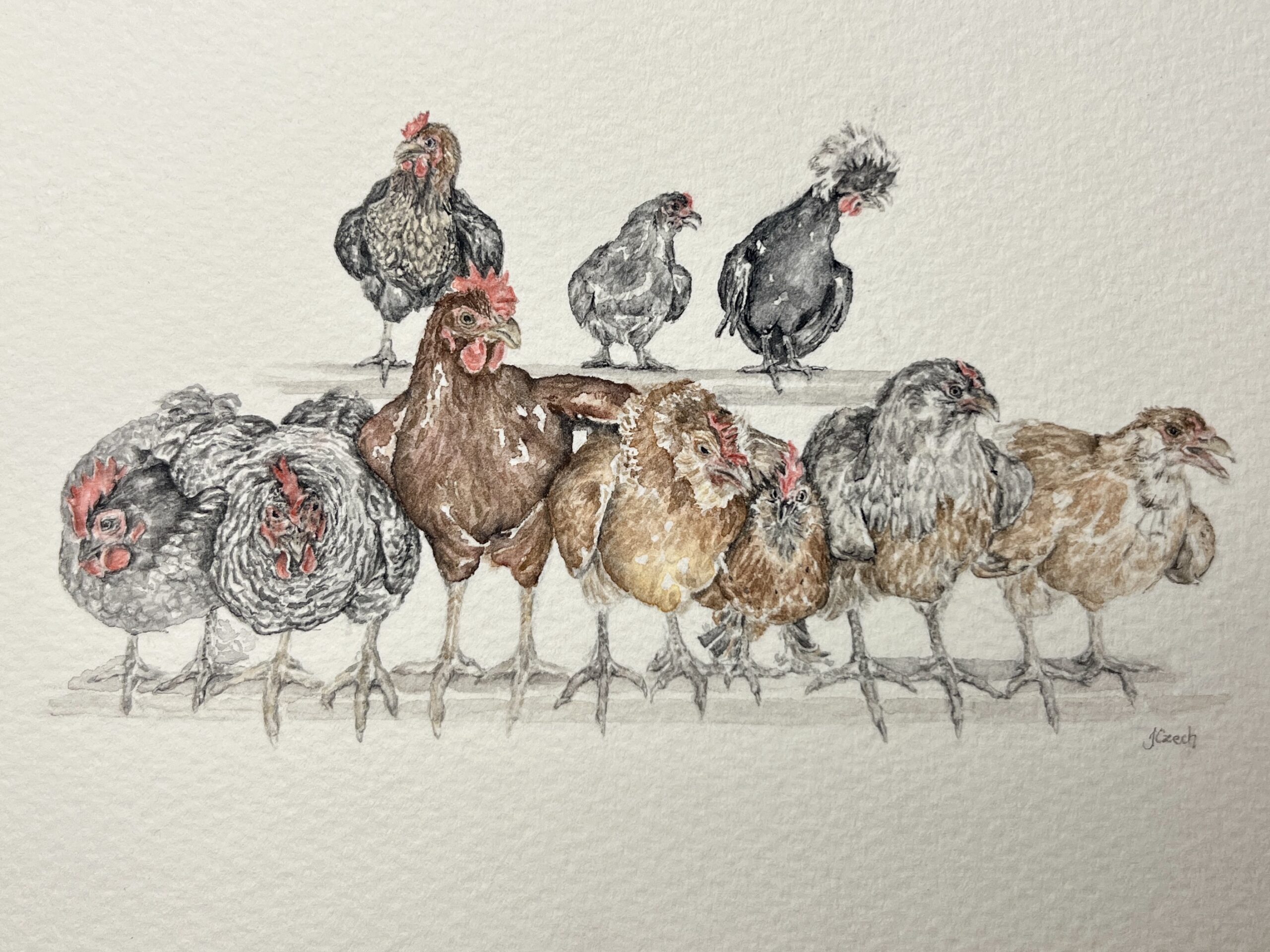 Portfolio prezentujące oryginalne obrazy akwarelowe i wydruki fine art. Akwarele malowane z uważnością.